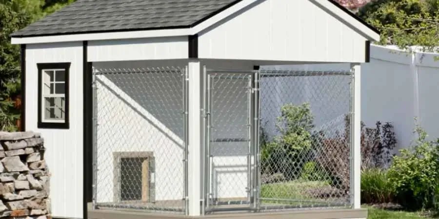 Large outdoor discount dog kennel